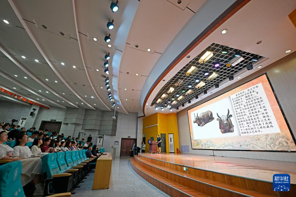 培养远瞩思维：生活中长远规划与当下把握的重要性